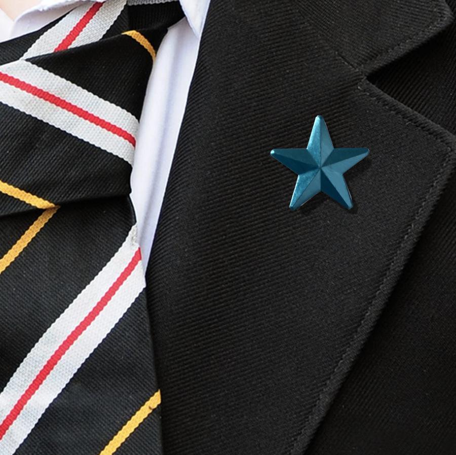 3D Bue Star Badge-4