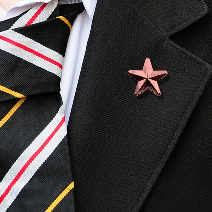 3D Bronze Star Badge-3
