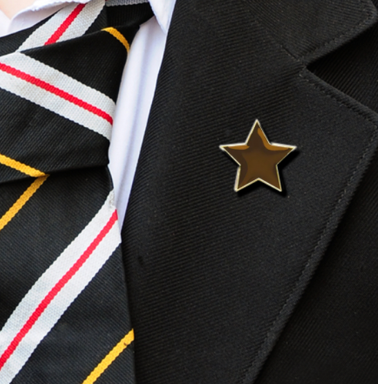 Brown Plain Star-9