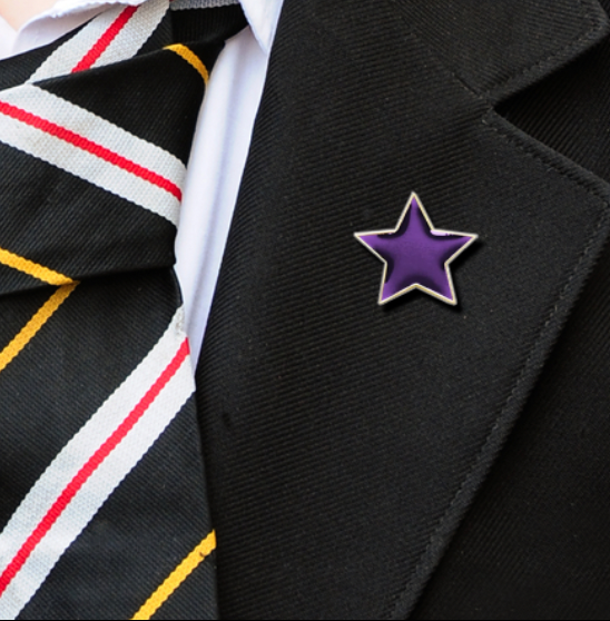 Purple Plain Star-8