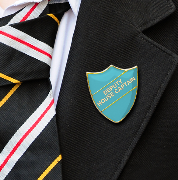 DEPUTY HOUSE CAPTAIN SCHOOL BADGES LIGHT BLUE-9
