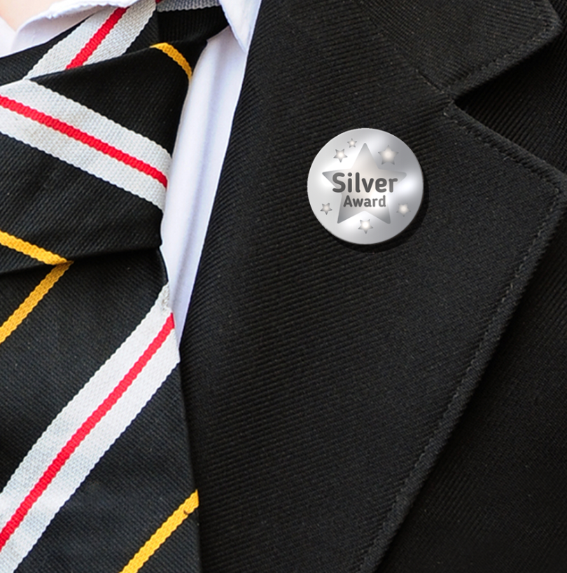 Award Stickers - Silver-2