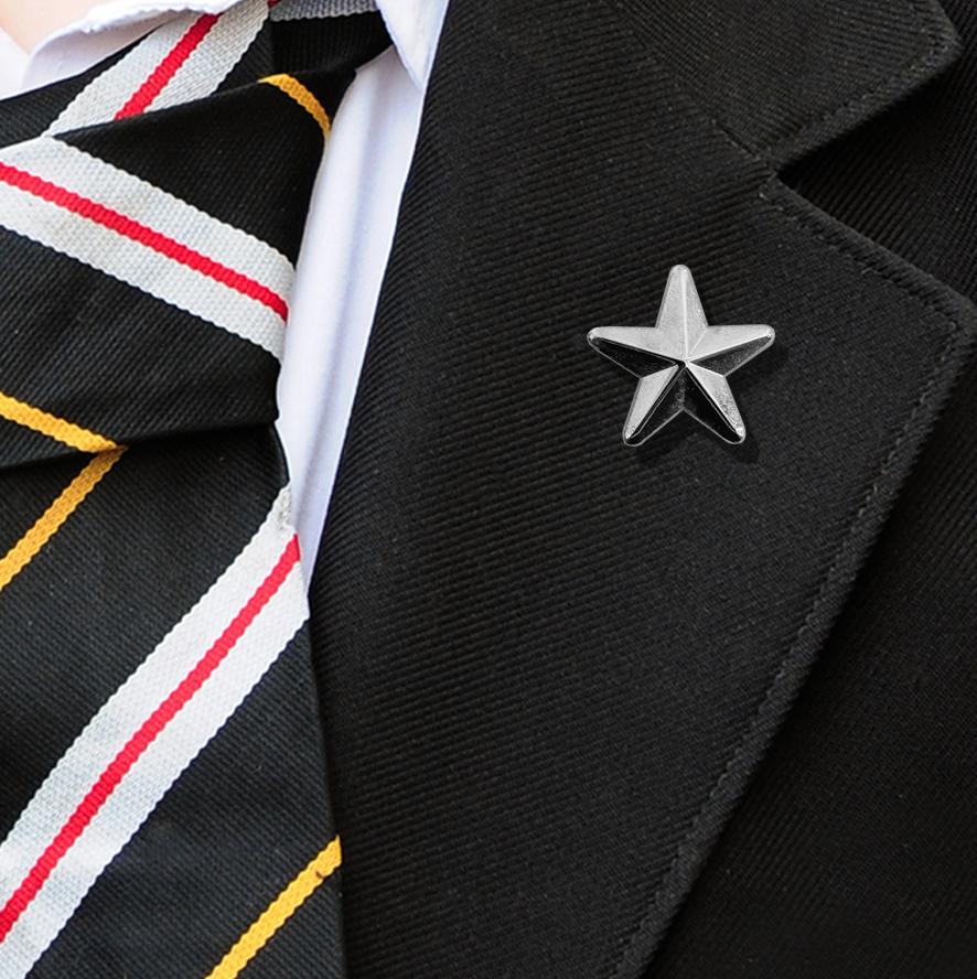 3D Silver Star Badge-2