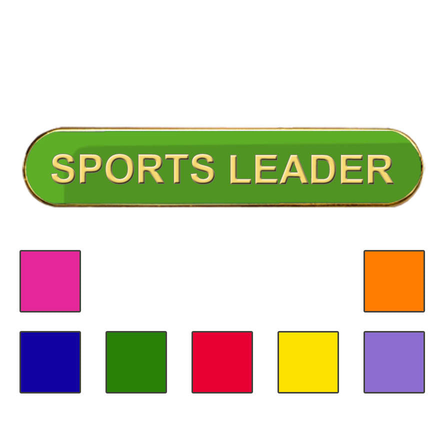 Coloured Bar Shaped Sports Leader Badges-0
