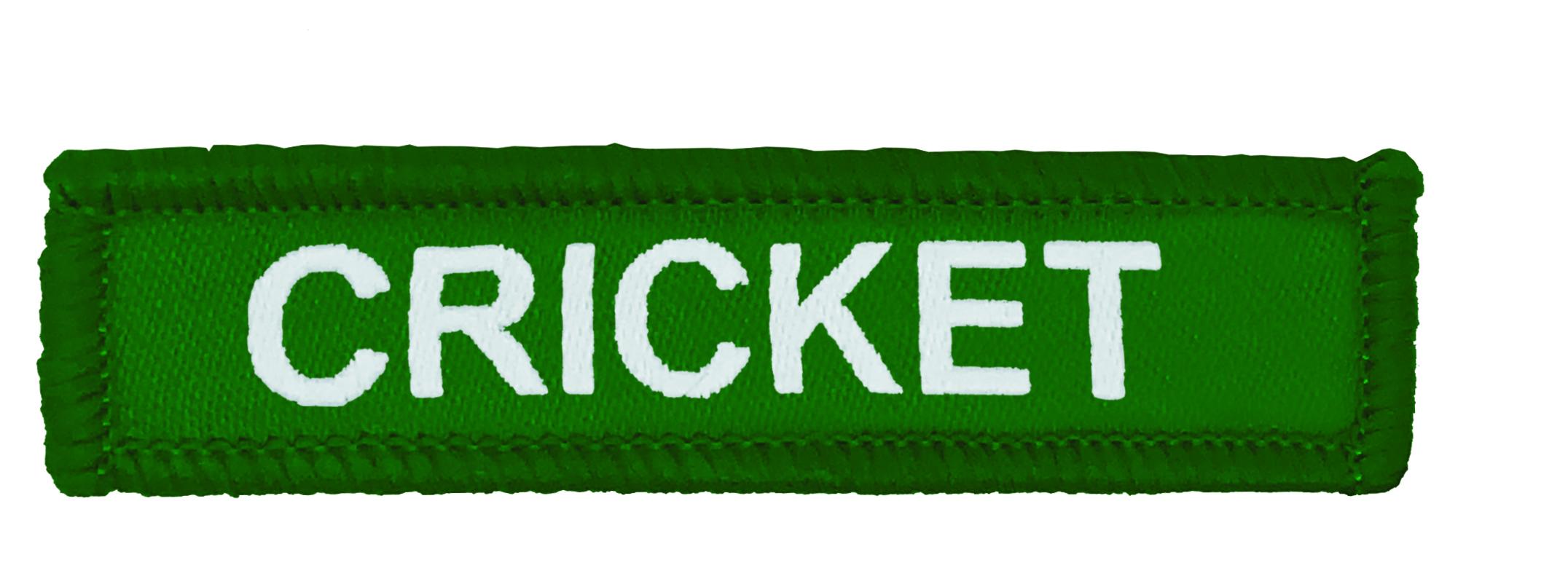 Green Woven Cricket Badge-2