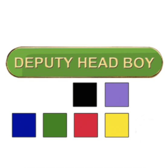 Coloured Bar Shaped Deputy Head Boy Badges-0