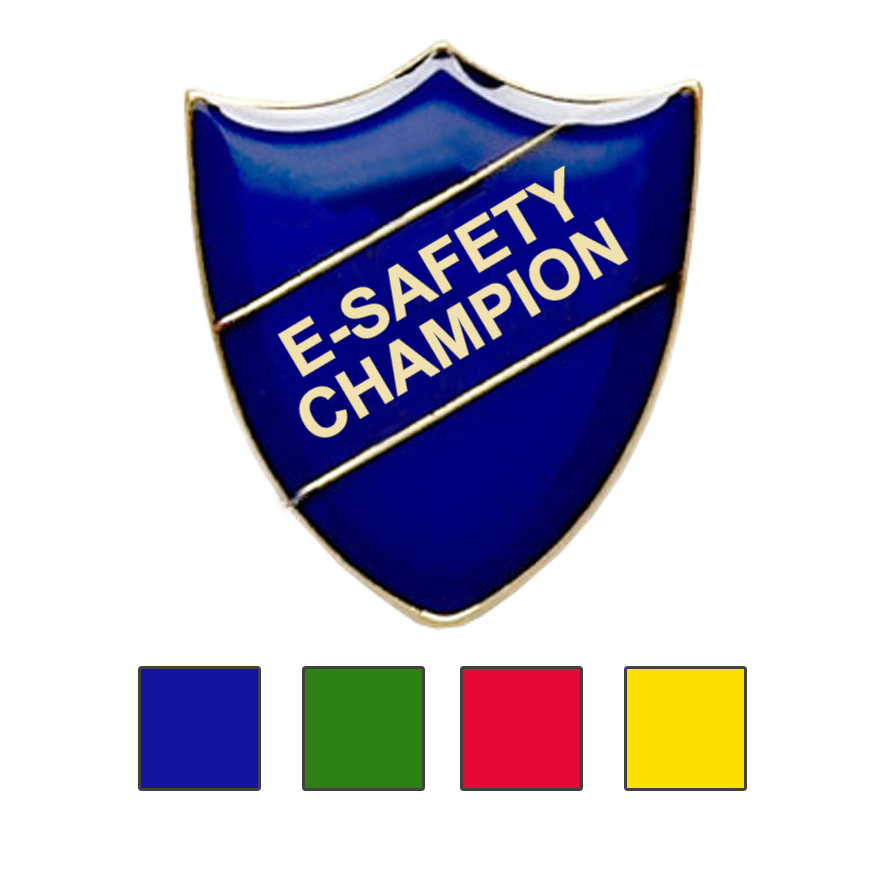 E-SAFETY CHAMPION SCHOOL BADGES-0