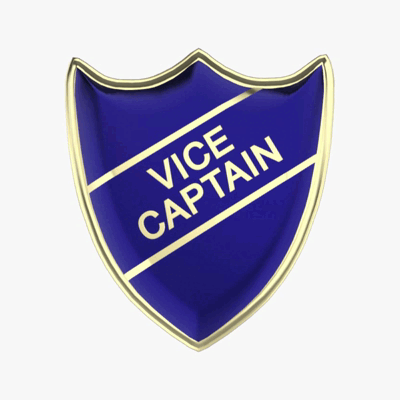 Vice Captain spinner-1