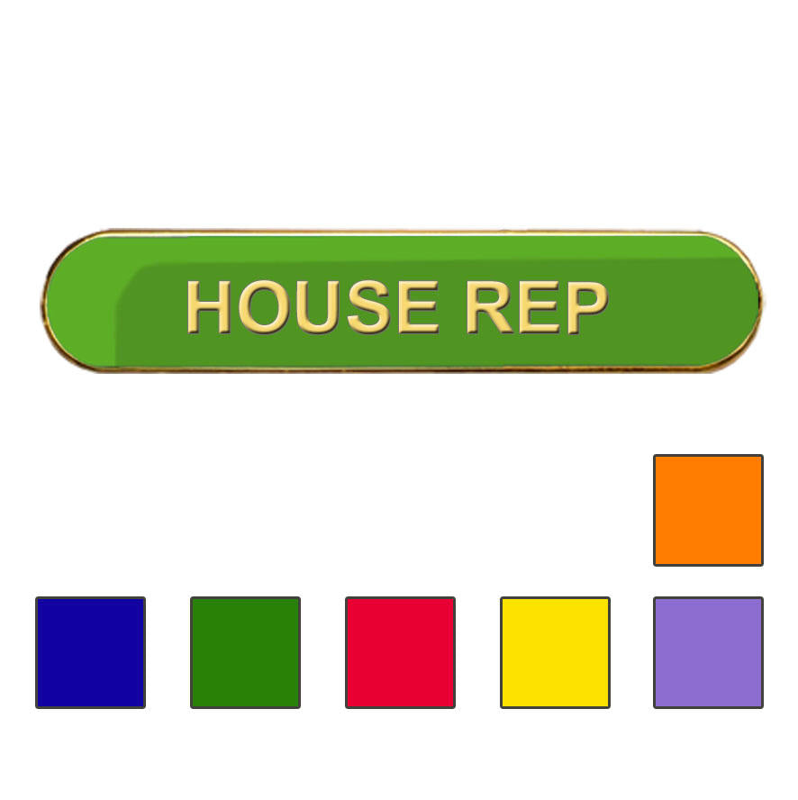 Coloured Bar Shaped House Rep Badges-0