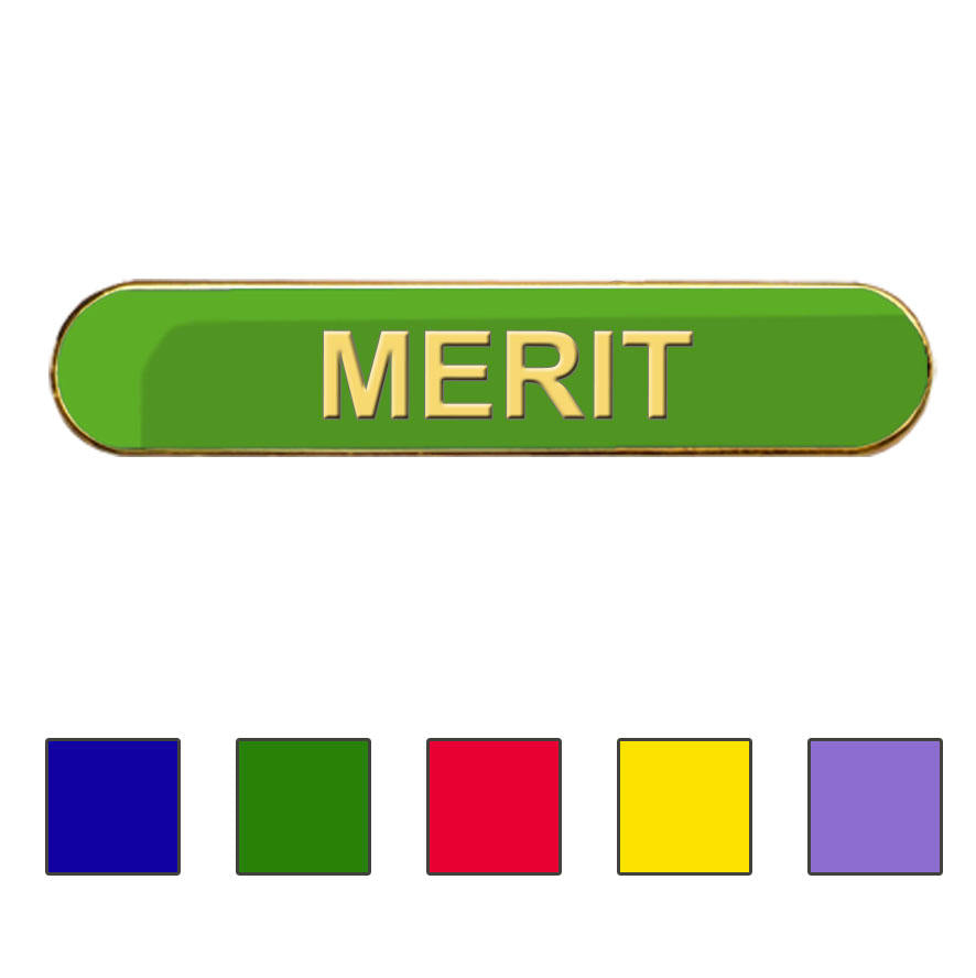 Coloured Bar Shaped Merit Badges-0