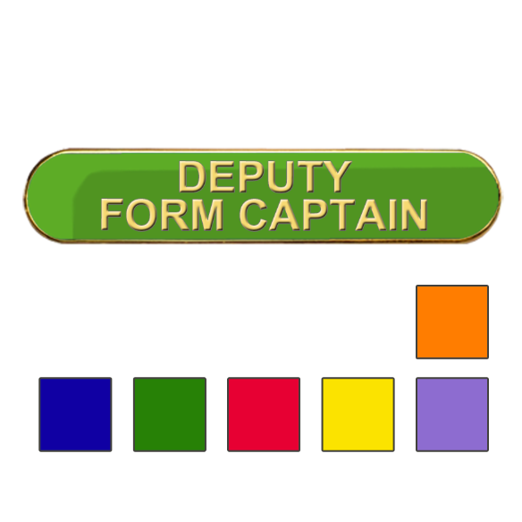 Coloured Bar Shaped Deputy Form Captain Badges-0