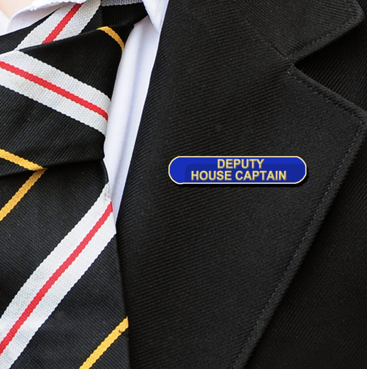 Blue Bar Shaped Deputy House Captain Badge-1