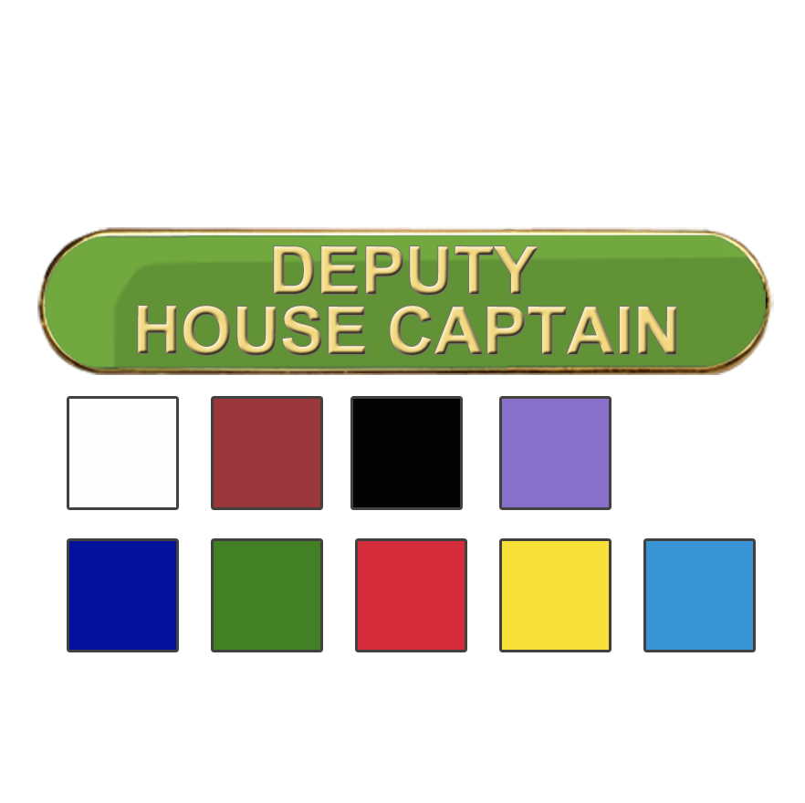 Coloured Bar Shaped Deputy House Captain Badges-0