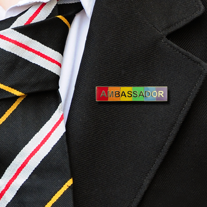 AMBASSADOR RAINBOW ON BLAZER-1