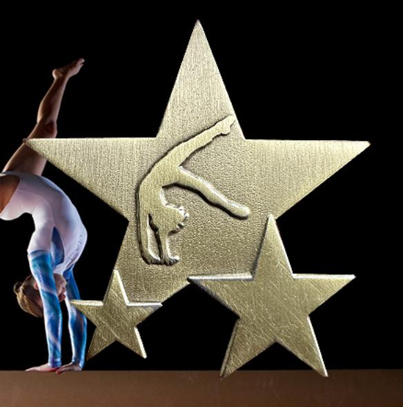 Gymnastics Triple Star Badge-0
