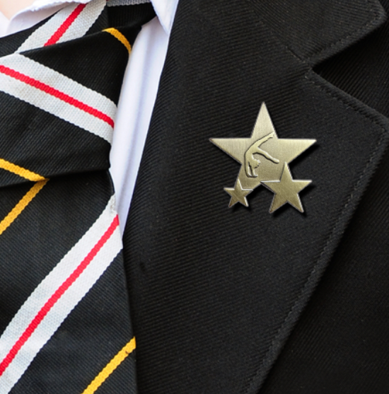 Gymnastics Triple Star Badge on Blazer-1