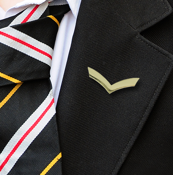 CHEVRON BADGE GOLD-1