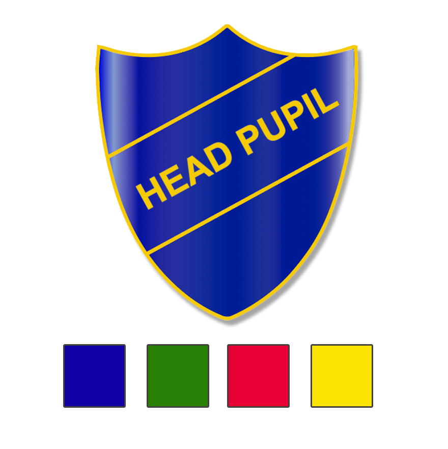 HEAD PUPIL SHIELD BADGE-0