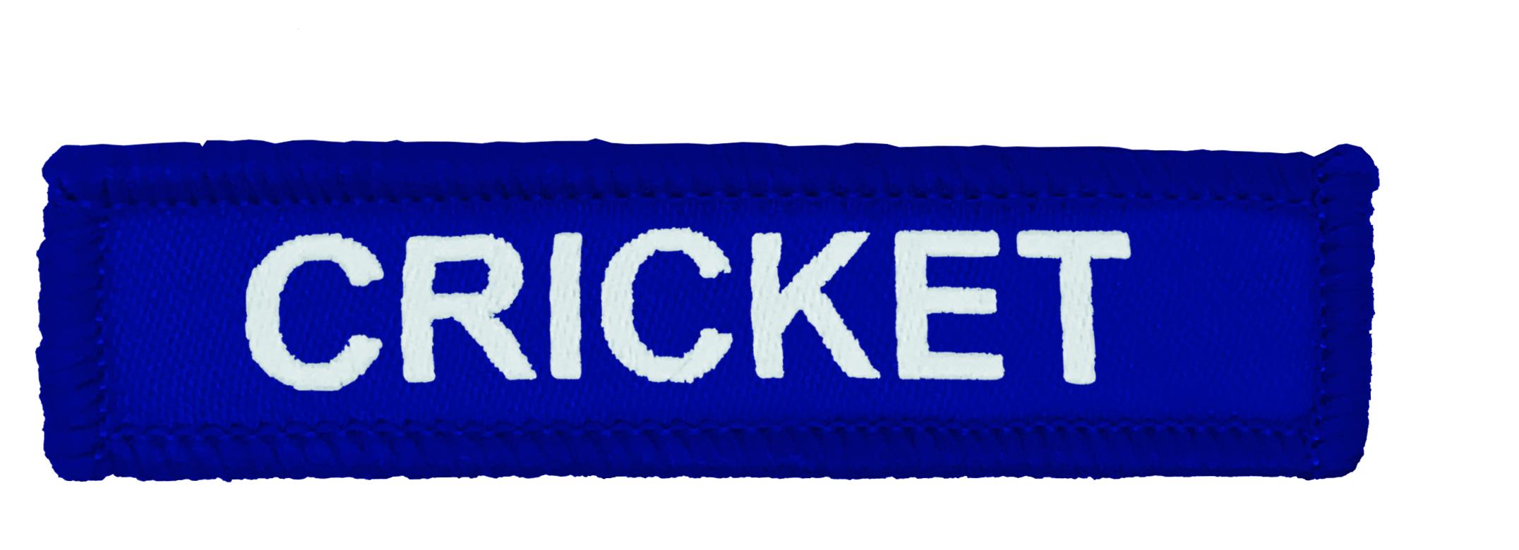 Blue Woven Cricket Badge-1